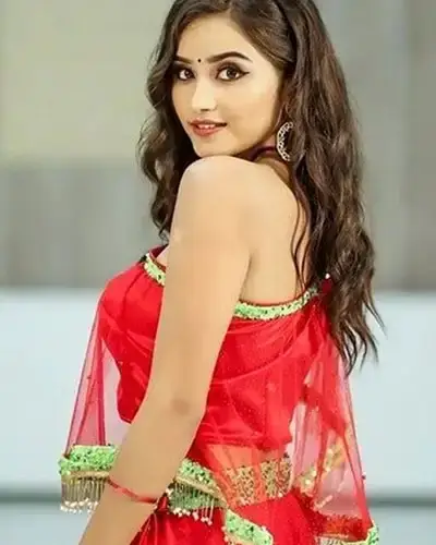 Call Girls Service Pamgarh